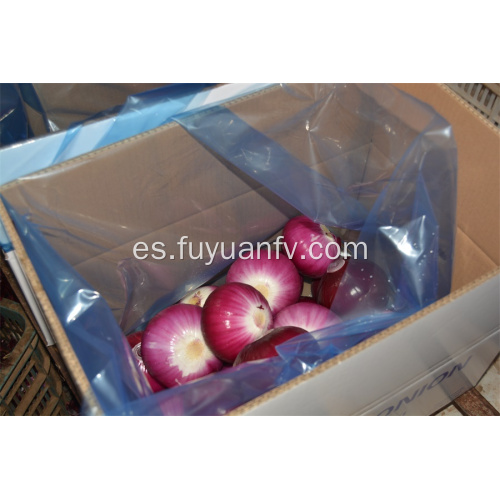 Hotsale Red Peeled Onion con buena calidad